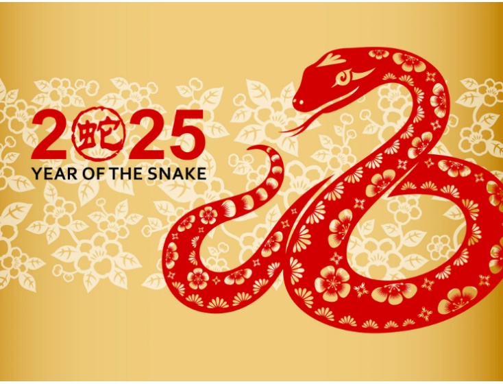 Celebrate the Spring Festival, embracing the new year of Snake !