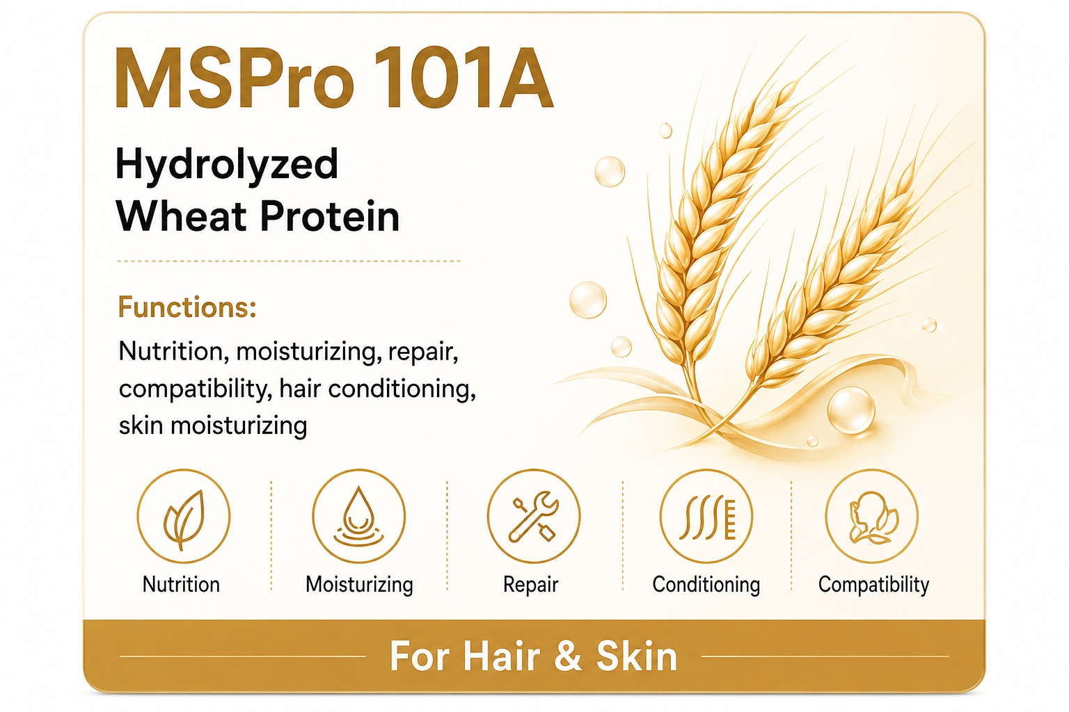 MSPro 101A
